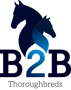 B2B Thoroughbreds